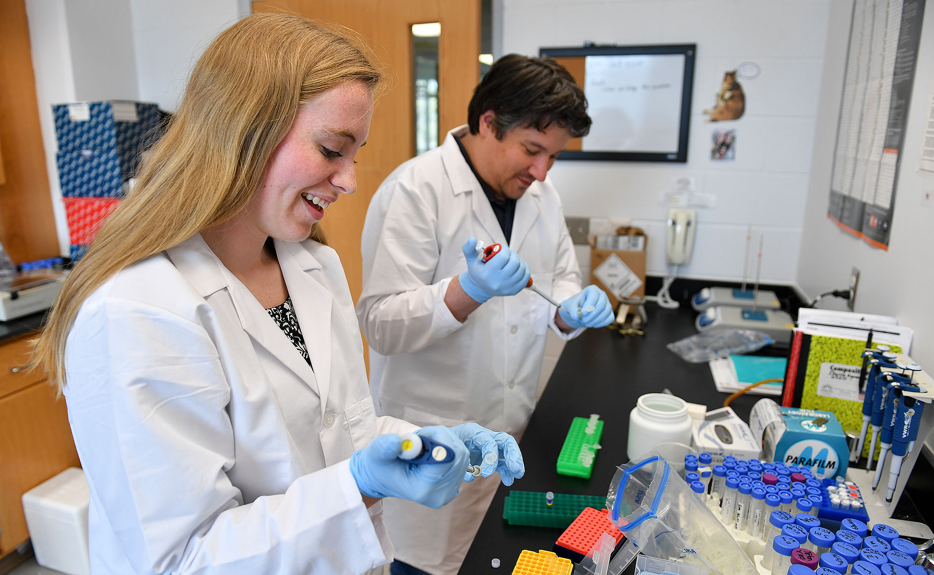 Students filling test tubes