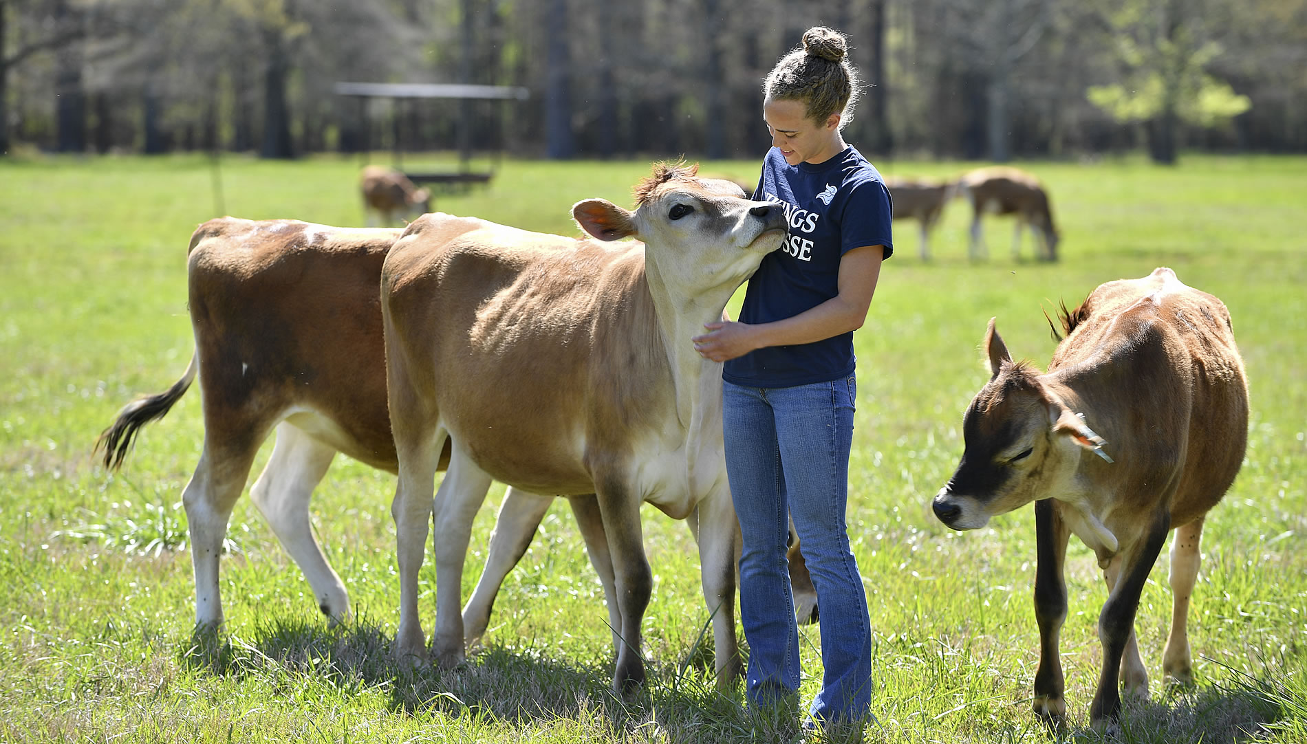 Careers with Animals